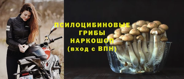 ешки Майский