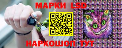 mdpv Будённовск