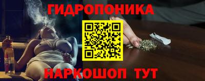 бошки Дубна