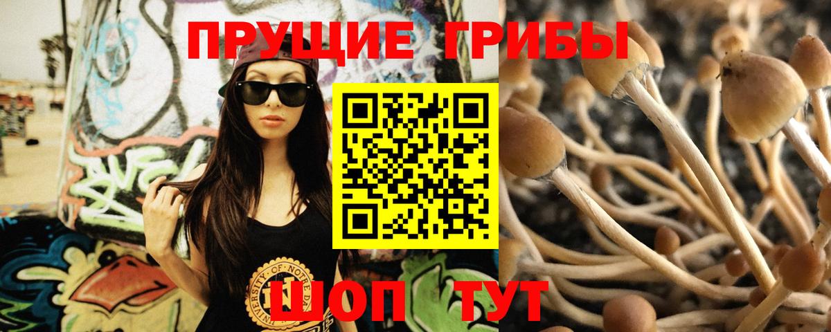 Псилоцибиновые грибы мицелий  Галлюциногенные грибы мухоморы  Вход с VPN  Керчь 