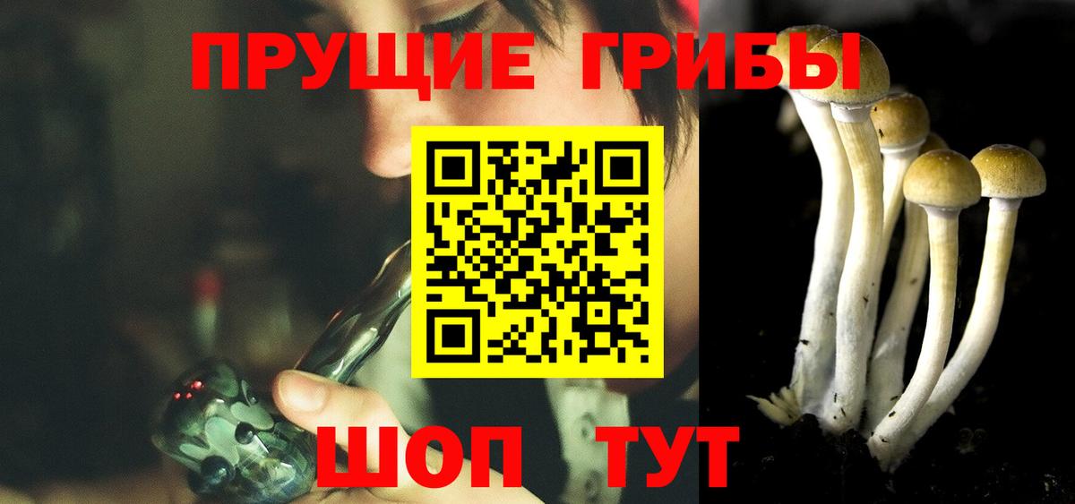 Галлюциногенные грибы мицелий Керчь